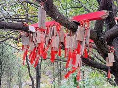 -阳台山自然风景区