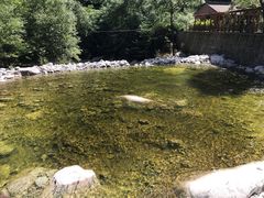 -青峰峡国家森林公园