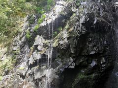 -藏龙百瀑风景区