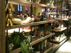 -别院里音乐餐酒吧(双流航空港店)