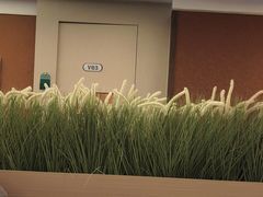 -世外桃源水疗会(皇庭彩园店)