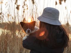 -合肥滨湖国家森林公园