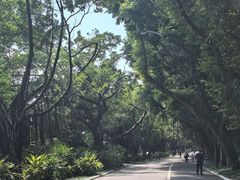 -南宁南湖公园