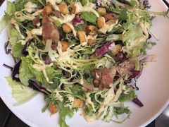 -Tubestation站点比萨(五道营店)