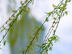 -西湖文化广场
