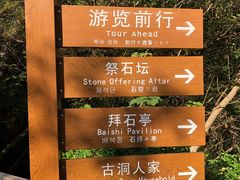 -蛇蟠岛