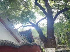 -千佛山风景名胜区