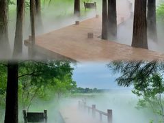 -东湖落雁景区