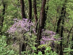 -大榭国际大酒店