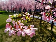 -福建鲤鱼洲酒店