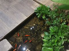 -邈墨茶馆(大兜路1号店)
