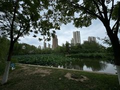 -南翠屏公园