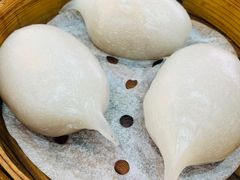 金吒-伯乐居茶艺馆(石岐大信店)