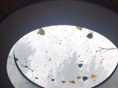 -林栖谷森林康养度假区