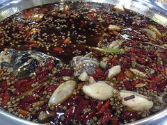 美蛙鱼头-大味美蛙鱼头火锅(高水店)