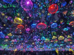 -上海梵高星空艺术馆(南京路旗舰店)