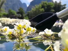 -大理洱海