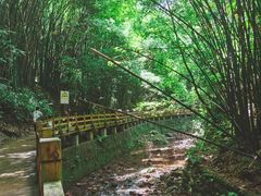 -凤栖山