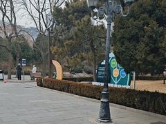 -团结湖公园