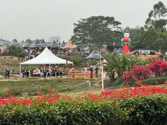 -光明小镇欢乐田园