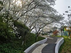 -杭州少年儿童公园