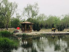-太阳宫公园