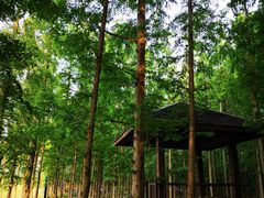 -南京金牛湖风景区