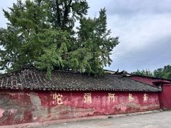 -三星堆博物馆
