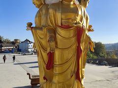 -长虫山生态公园风景林