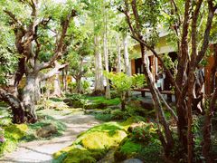 -Chom Cafe and Restaurant