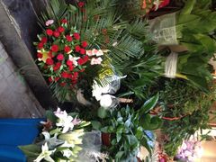 盛世荣兰花艺-盛世荣兰花艺