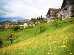 -西涌国际滨海旅游区