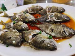 -明记海鲜大排档(巽寮湾店)
