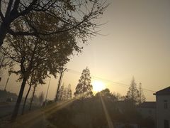 -上海长兴岛郊野公园