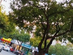 -小辣椒·桂林本地菜(鸿运店)