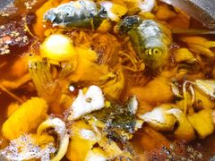 -雲蜀龙阁·金牌水煮鱼(方庄店)