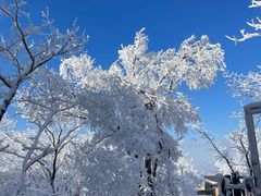 -中旅松花湖滑雪场