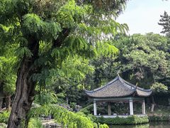 -叶家花园