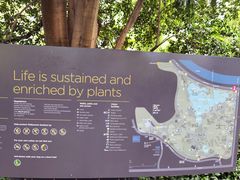 -墨尔本皇家植物园