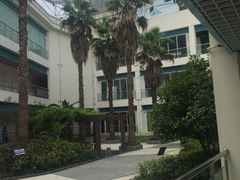 -沈坚强游泳俱乐部(长征分部)