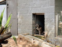 -深圳野生动物园