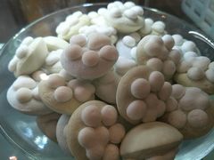 -猫咪博物馆(顶澳仔猫街店)