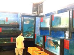 水产区-肥仔顺德菜(龙悦居店)