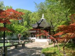 -交大留园(东川路店)