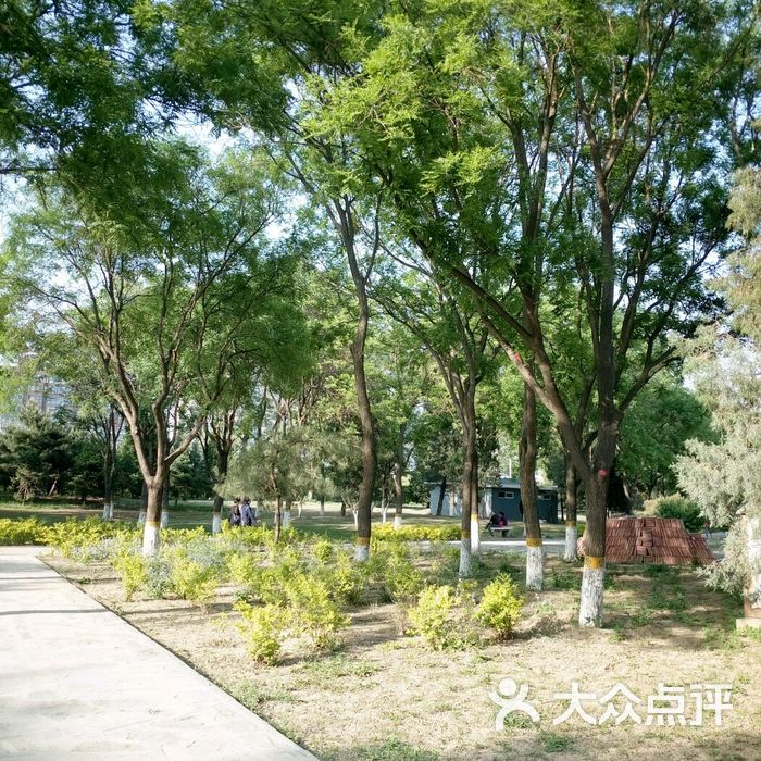 石榴庄公园图片