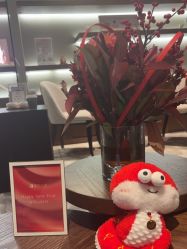 -丽妍雅集 Rubis SPA