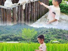 -楠溪江风景名胜区