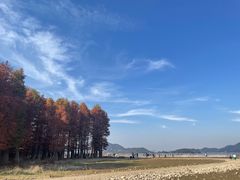 -四明湖