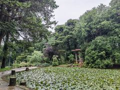 -昆明市金殿名胜区