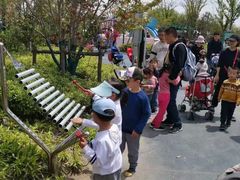 -季高兔窝窝亲子园(上海薰衣草公园店)